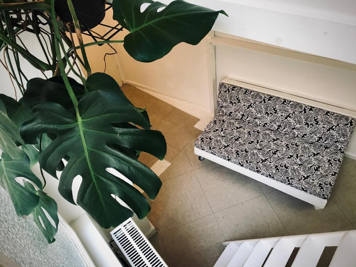 Boutique Hostel Lekkerurlaub Berlin Eksteriør billede