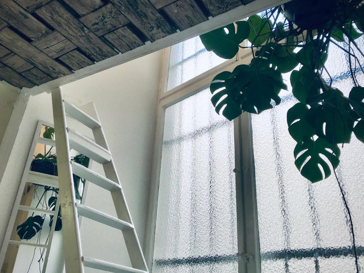 Boutique Hostel Lekkerurlaub Berlin Eksteriør billede